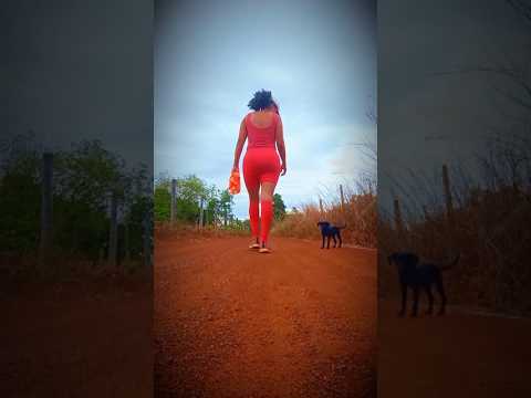 Caminhada sertaneja Comunidade Santa Rita município Vianópolis Goiás Brasil