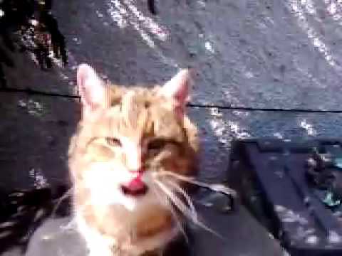 Jemma at manse cottage sandhead