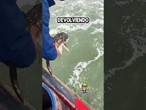 Carbonera Release #fishing #Gesell #friends