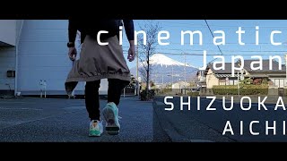 上陸in静岡ｰ愛知【Japan  SHIZUOKA-AICHI Travel Vlog】
