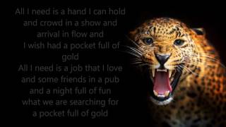 American Authors - pocket full of gold (lyrics)