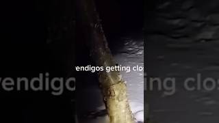 Coisas Mais Estranhas Encontradas em florestas Capturados por Câmeras #shorts