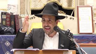 הרב מאיר אליהו | מלחמה בעזה 2023 | ה׳תשפ״ד