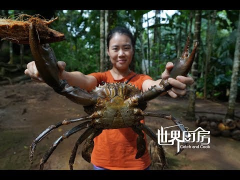 第64集：雅浦岛老酋长孤身进入红树林，徒手捕捉美味巨型泥蟹     Giant mudcrab catch and cook in Yap,FSM