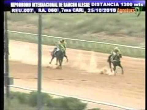 Resumen lunes 25 de octubre 2010 - Rancho Alegre