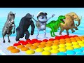Choose the Right Pop It with Crazy Frog Dinosaur Elephant Gorilla Funny Cow Dance Zebra Funny Videos