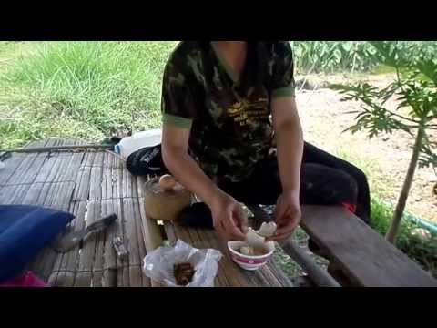 โรคสะเก็ดเงินในเด็ก 4 ปี คุณจะรู้ว่ามีโรคสะเก็ดเงิน