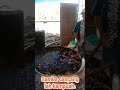Lauk Kancah Khatam Qur An Sudah Matang