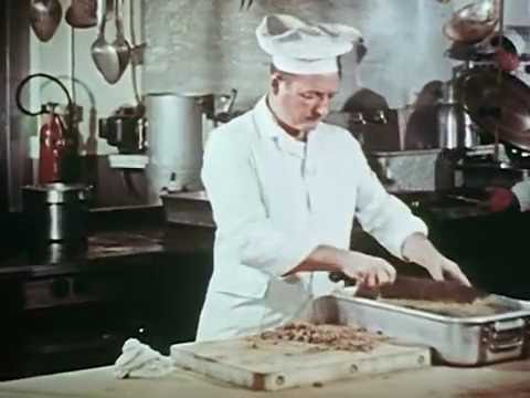 An Outbreak of Salmonella Infection (USPHS, 1954)