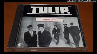 Music video thumbnail preview for ＴＵＬＩＰ　Primary Color by チューリップ