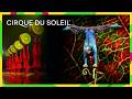 Upside Down & In Perfect Control | OVO’s Hand Balancing & Foot Juggling | Cirque du Soleil