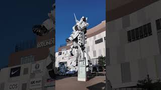 ユニコーン見れた