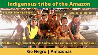 Download lagu Brazil Travel - Indigenous tribe of the Amazon mp3
