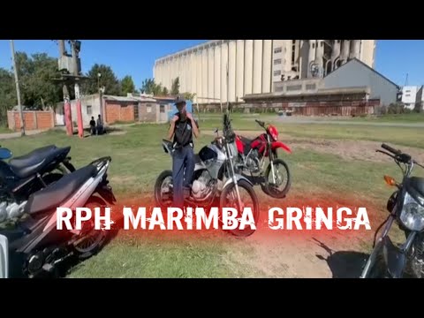 MARIMBA GRINGA 