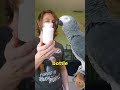 This Parrot Knows his B-Words 😳