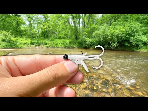 Creek Fishing w/ TINY Baits for Whatever Bites!