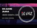 Udit Narayan Oh Jaane Jaana Hindi Kompa Mix Dj KriiZ