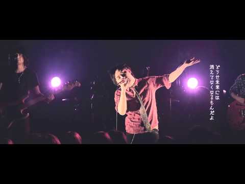 Rock Steady / onelifecrew (OFFICIAL MV LIVE ver.)