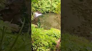 Download lagu Air terjun di Tabanan-Bali mp3