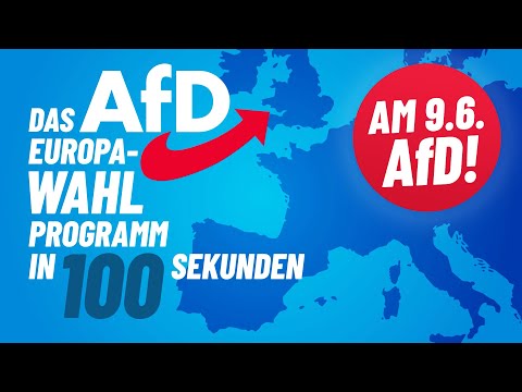 AfD Europawahlprogramm in 100 Sekunden