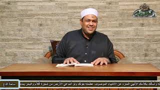 5 البشارة الرابعة حول(الصلاة على الحبيب الحبوب - صل الله عليه وسلم)د- محمود عابدين (ساحة الدح)