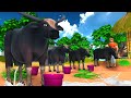 Magical Buffalo Milk - जादुई भैंस का दूध हिंदी कहानी | Hindi Kahaniya 3D