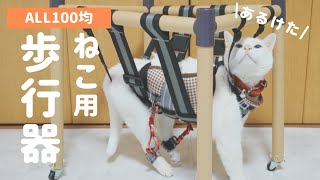 100均素材だけで猫用歩行器を作ってみた！
