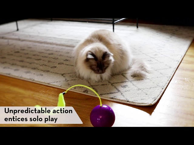 Video Teaser für KONG Purrsuit Whirlwind - Cat Toy