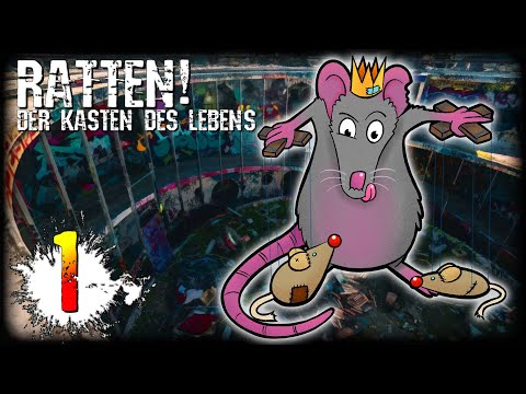 Ratten, Der Kasten des Lebens 01, Pen and Paper Actual Play