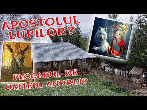 Cine e Sfantul Andrei? Apostolul lupilor? Poveste, istorie si credinta