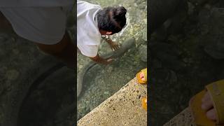 Giant igat o freshwater eel #fishing #fish