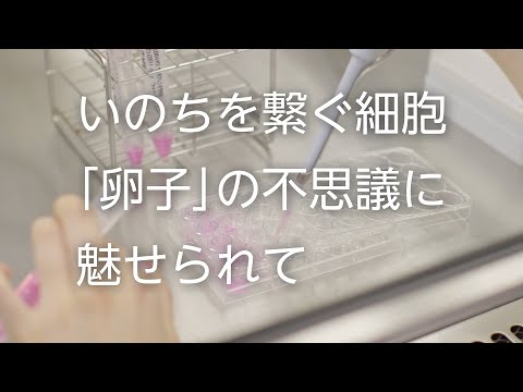 【山形大学】研究紹介2021：木村直子（生殖生物学・生殖工学/農学部担当）