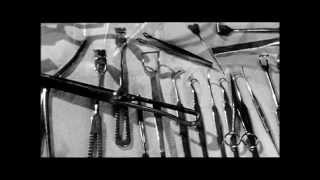 Science and the Swastika : Hitler's Biological Soldiers