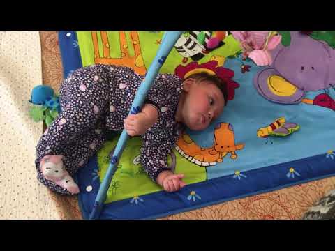 DMSSH 08.31.2019 Stella learning to turn over.