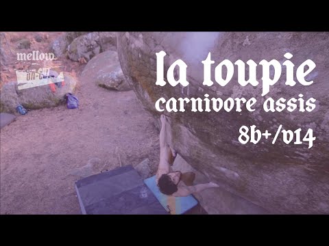 UNCUT: Jimmy Webb - La Toupie Carnivore assis (8B+/V14)