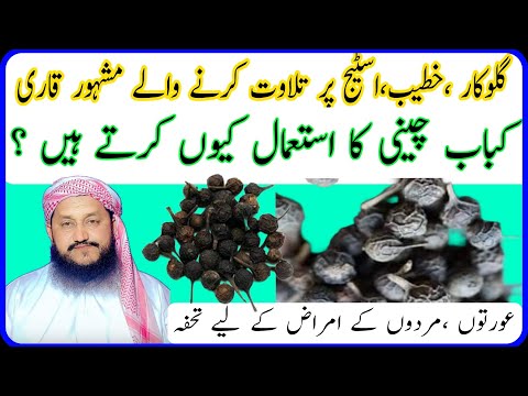 Kababcheni key faiday/ benefits of cubeb#benifits of cubeb fructus