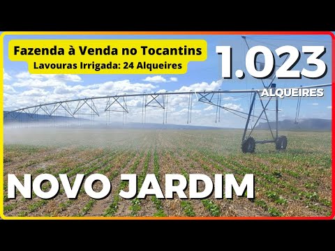 1.023 ALQ NOVO JARDIM - FAZENDA À VENDA NO TOCANTINS [🌱DUPLA APTIDÃO🐄] 62.99972-2000 #fazenda #agro