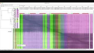 Protein Model Quality - Part 3: Clustering AlphaFold's PAE in Jalview