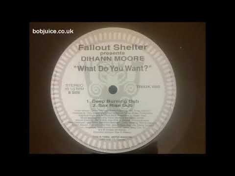 Fallout Shelter feat Dihann Moore What do you Want Deep Burning Dub