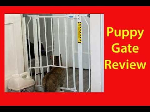 Carlson Extra Wide Walk Through Pet Gate Review  // Puppy Gate Review