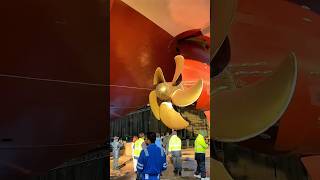Dry Dock Kapal Pesiar #kapalpesiar #fyp #pelaut #cruiseship #cruise life #shorts #shortvideo
