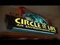 4K Circle Of Life An Environmental Fable At Epcot