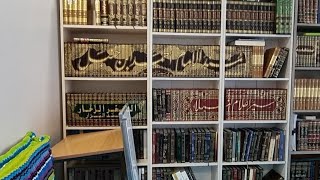 صورة الآياتُ الجامعة في الإرادة والسعي والفلاح