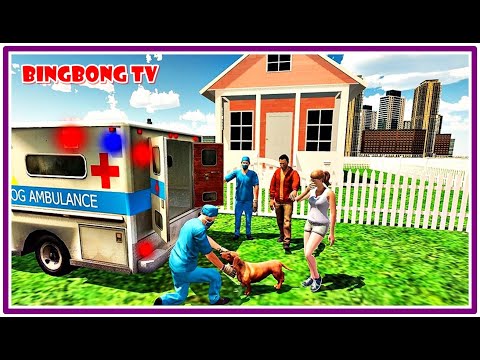 Ambulance Animals Dog Rescue Driver Simulator  - Emergency Van Drive 3D | Best Android GamePlay 2020