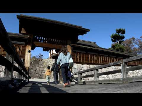 長野デザインウィーク in 松代✕真田邸庭園ライトアップ「幻奏」〈松代城跡 ロングバージョン〉
