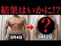 11日間の減量、結果はいかに!?