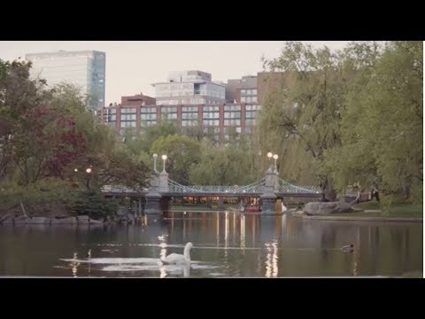 A Day in the Life of Four Seasons Hotel Boston