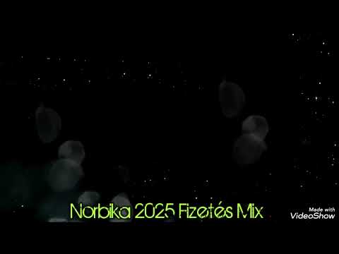 Norbika 2025 X Fizetés (Cover) #brutal #bulis