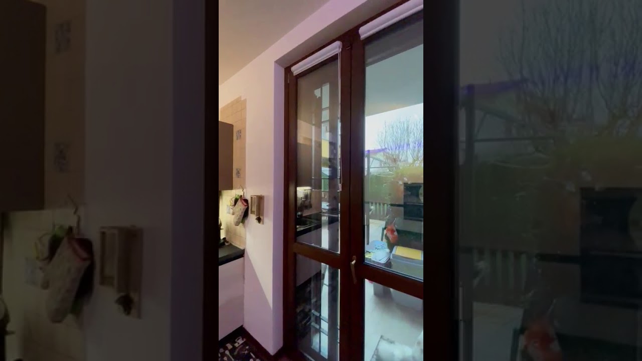 7e1e952d 25c8 4f3b b526 3296d88560dd