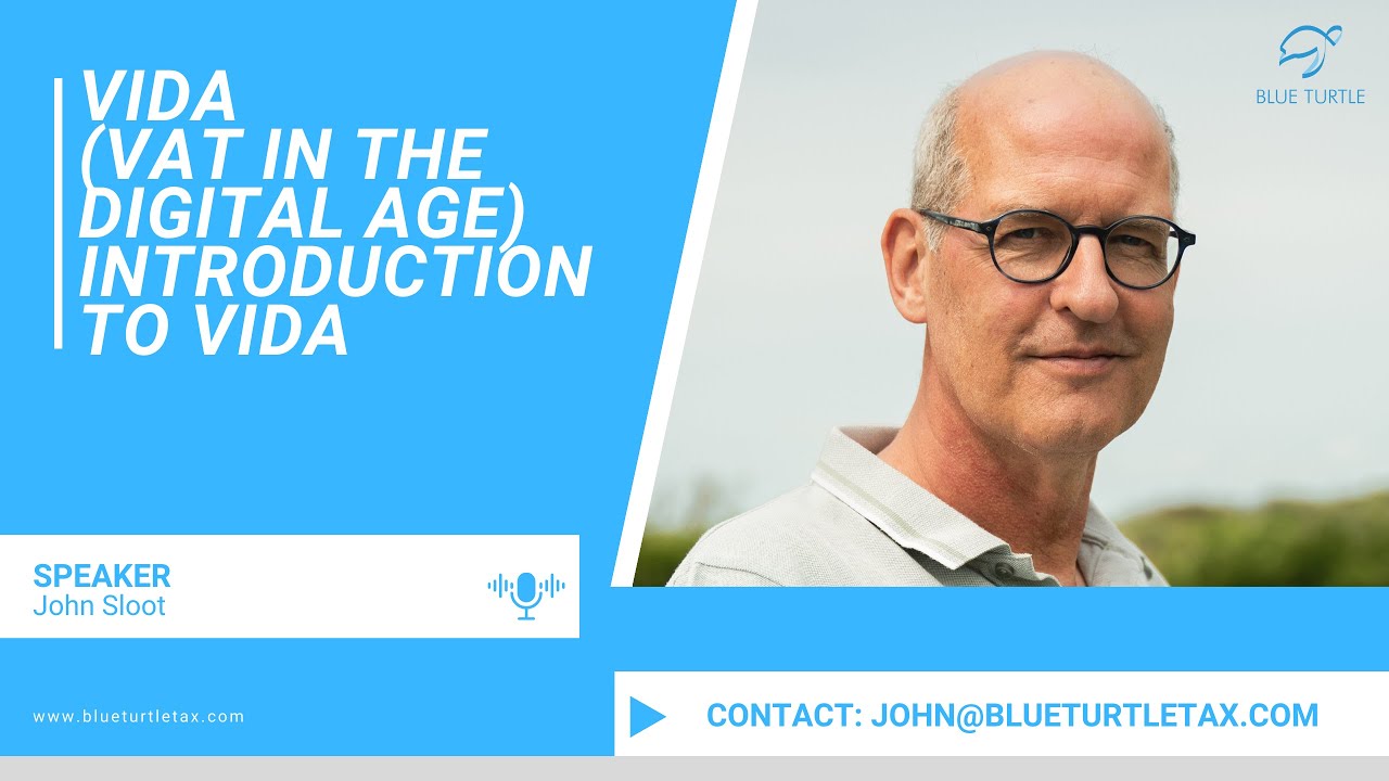 VAT in the Digital Age: Introduction to ViDA | Insights from Blue Turtle Tax